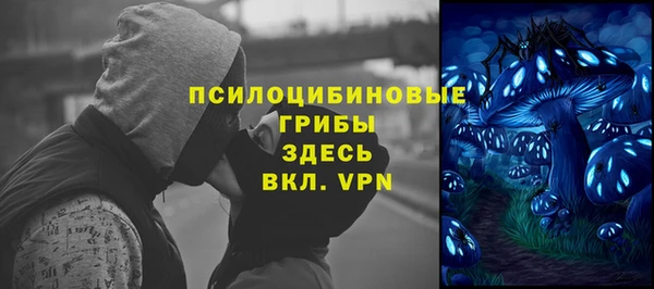синтетический гашиш Богородицк