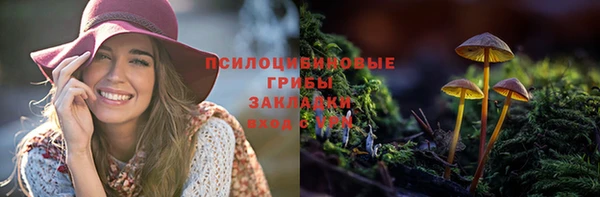 синтетический гашиш Богородицк